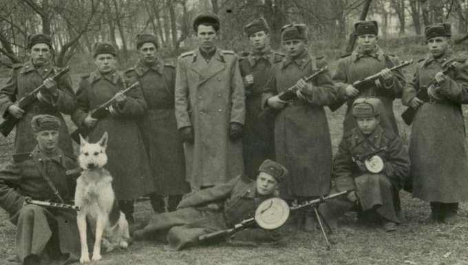 Источник картинки:ВКонтакте