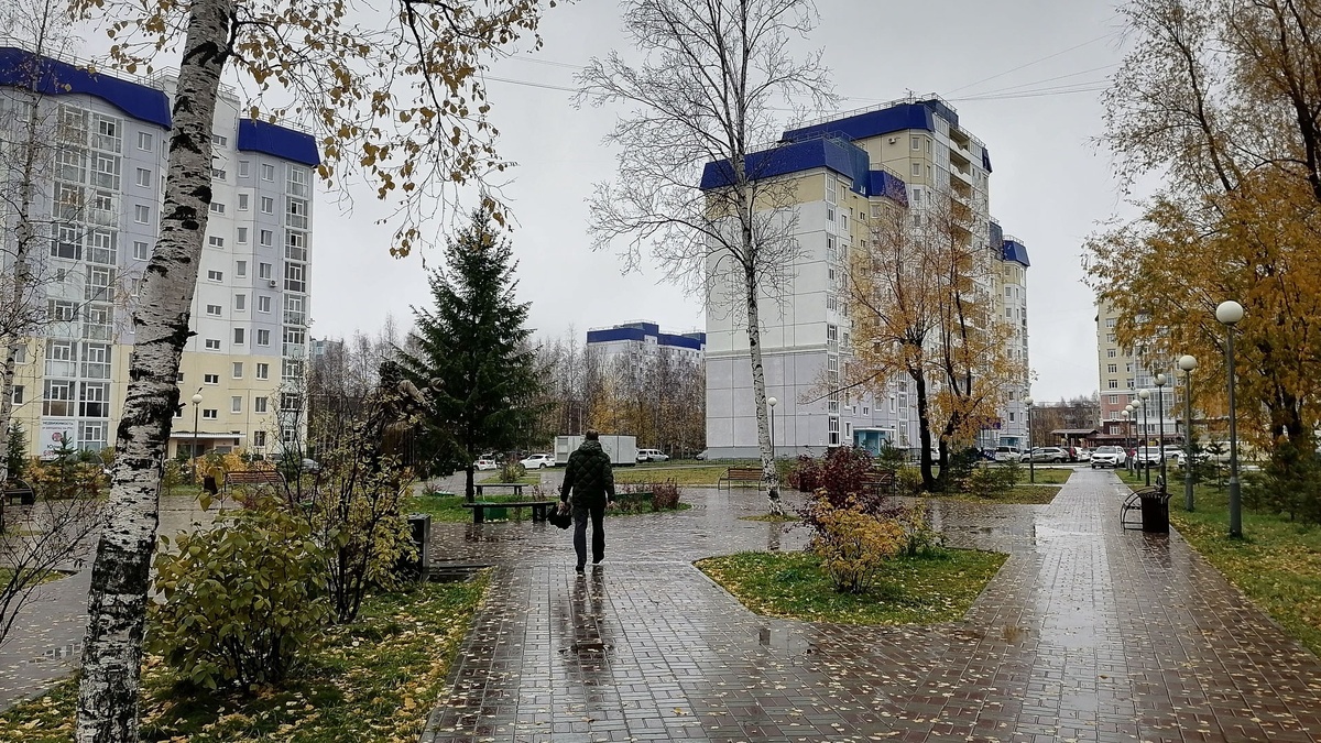     Источник: 1MI
