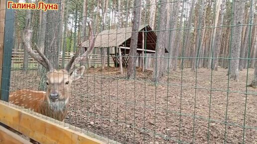 Томская Писаница. Музей под открытым небом