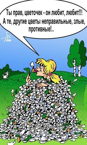 Цветочек правильный и цветочек неправильный. Фото сети Интернет. 