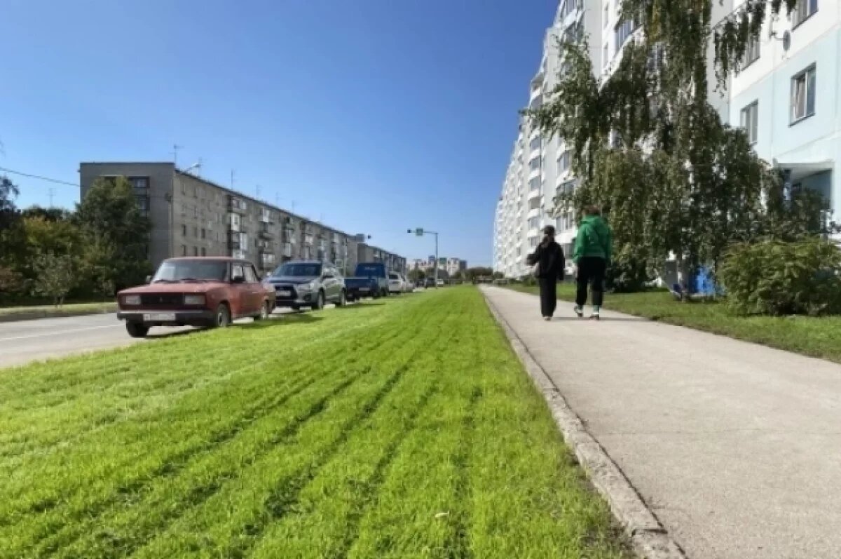    Новый газон вдоль дороги уложили на улице Динамовцев в Новосибирске