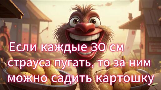 Анекдоты в честь окончания садо-мазо-огородного сезона! Картошка убрана, имеем право и расслабиться. От меня и помощницы Рыськи. Ловите!