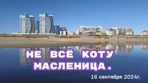 Не всё коту масленица. 16 сентября 2024г.