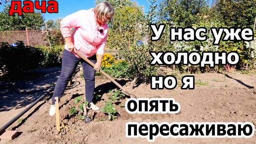 Tải video: Опять на Даче.Пересадила Клубнику.Поздно но Надо.У нас ночами уже Холодно