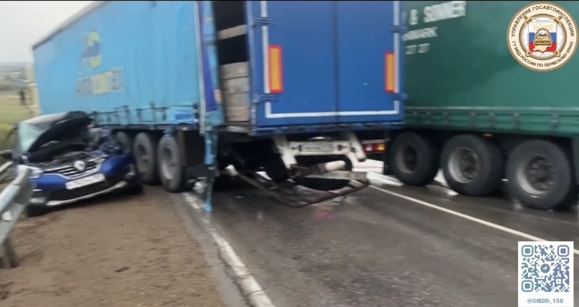    Фото: Госавотинспеция Пермского края Ольга Гилёва