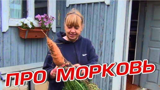 Télécharger la video: ПРО МОРКОВЬ