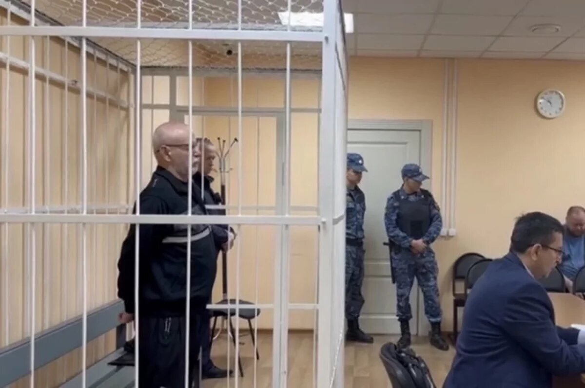   В Благовещенске на 14 лет осудили сибиряка, задавившего в ДТП 9 человек