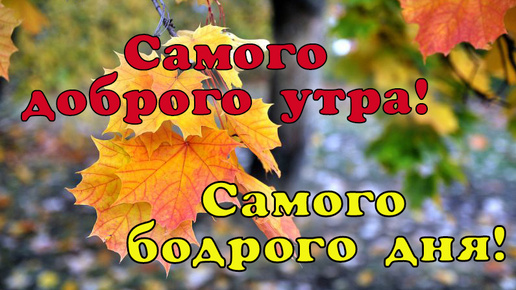 Самого доброго утра! Самого бодрого дня!