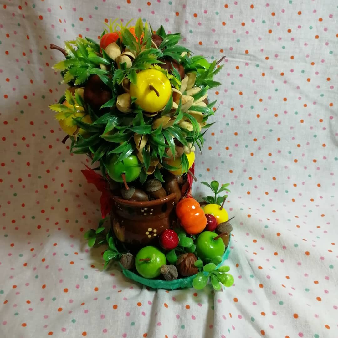 Фото автора статьи. Топиарий, вариант 1