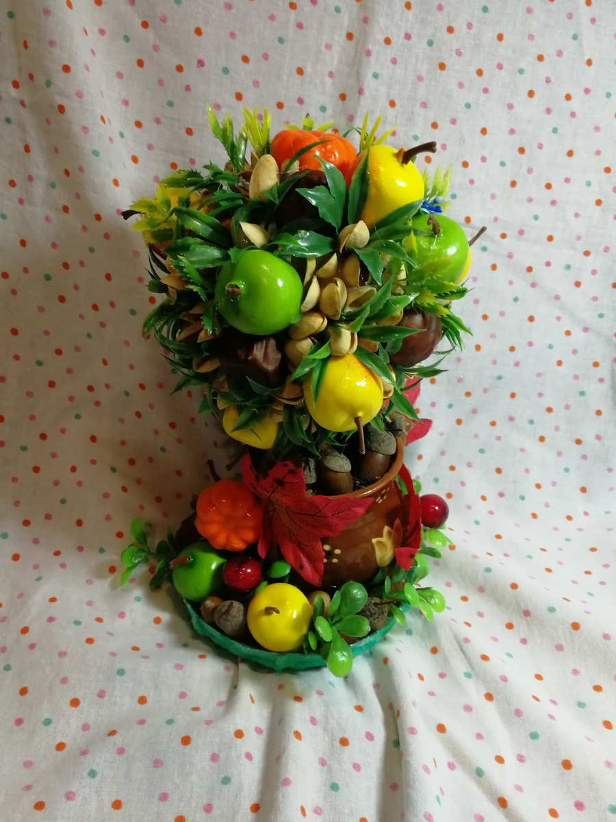 Фото автора статьи. Топиарий, вариант 1