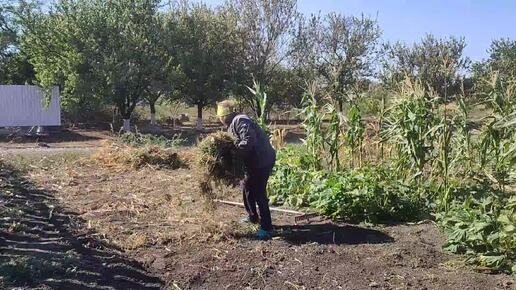 Скачать видео: Губатый уже надоел, дует и дует. Дела житейские. Наш ужин.