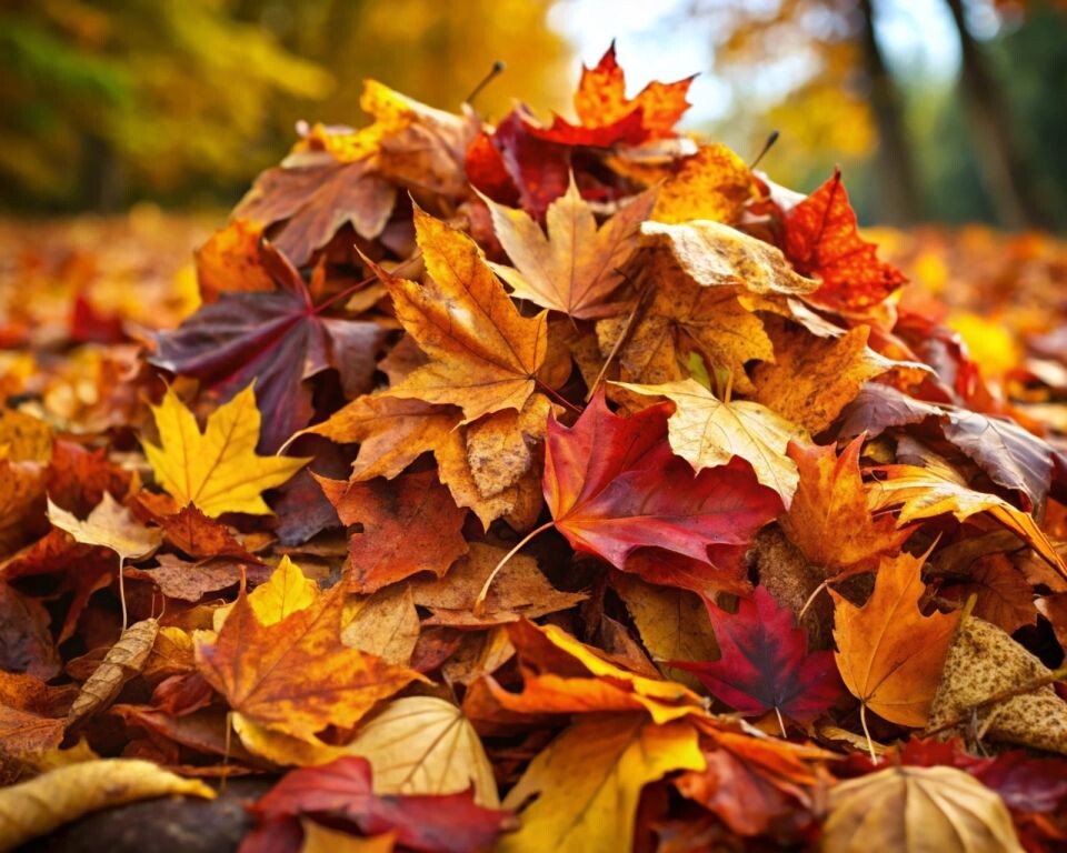    Осень. Листья. Источник: нейросеть Recraft