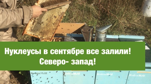 Шестирамочники в сентябре все залили! Северо-запад!