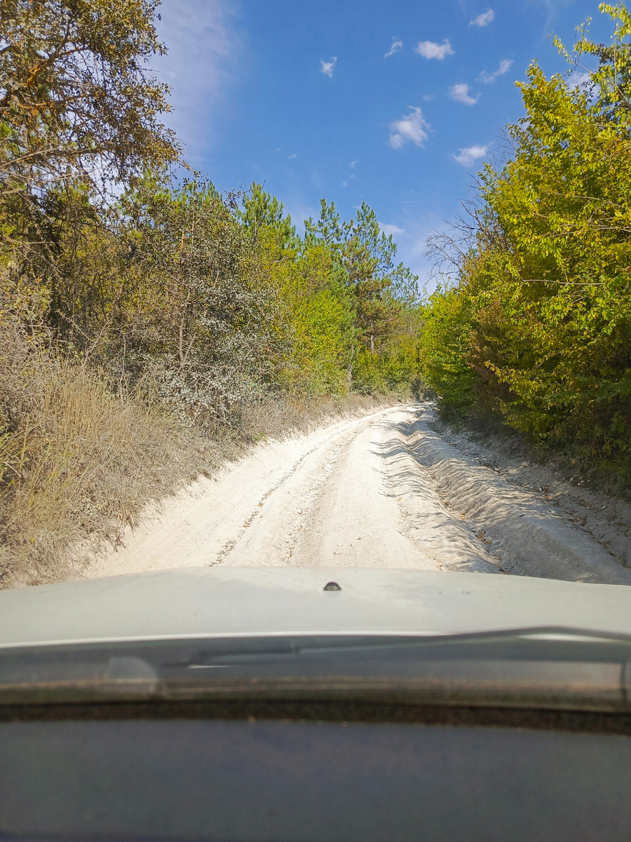 Колеи тут страшные. Машине не Нива и не внедорожник.