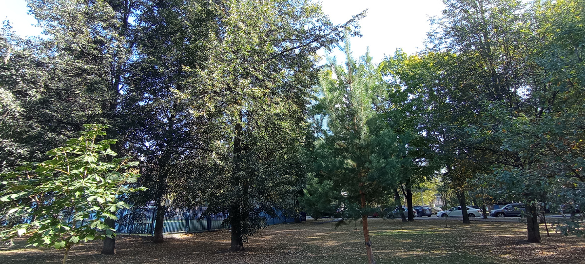 Утро 24.09.2024 г.