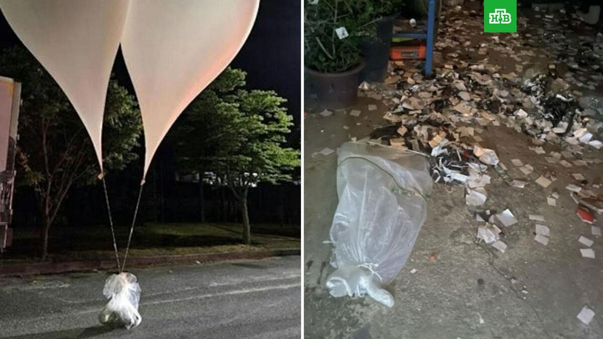    Фото: KhangXVu / X