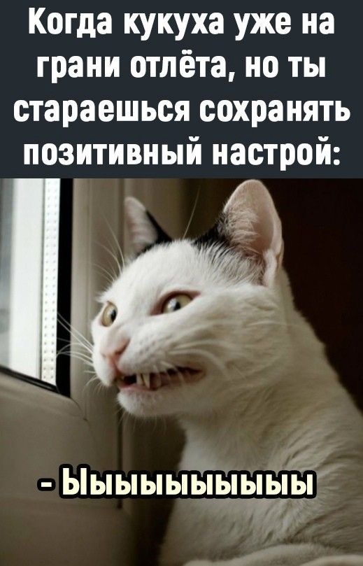 Картинка взята с Pinterest 