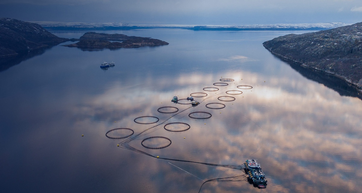 Полный цикл производства