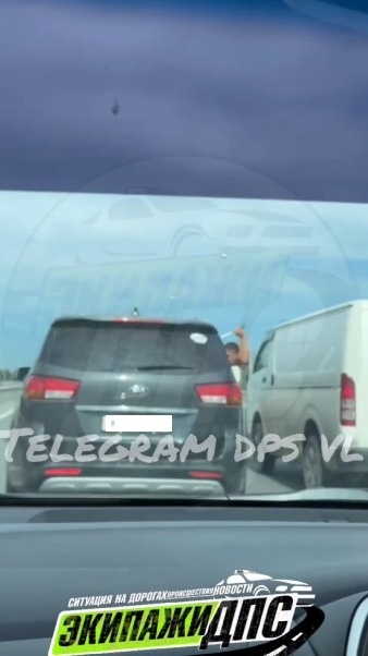     Источник: DPS VL