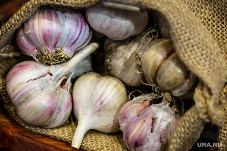 Без чеснока не обходится ни одна зимняя заготовка. Фото: Илья Московец © URA.RU
