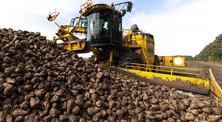 Фото: Алексей Дацковский