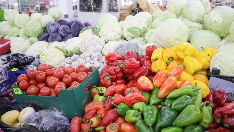      Фото: Дмитрий Ахмадуллин / / ИА «Победа26»