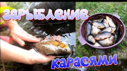 #Карелия 2021/Часть30/ Карасики на углях🐡