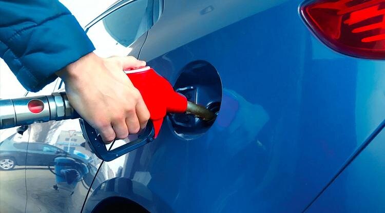 Фото: Наталья Малыхина