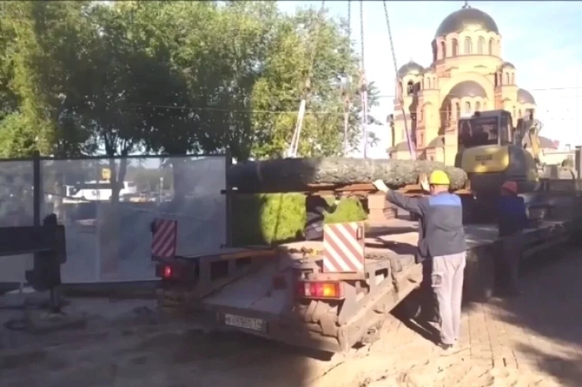    В Волгограде увезли венок с братской могилы на площади Павших Борцов