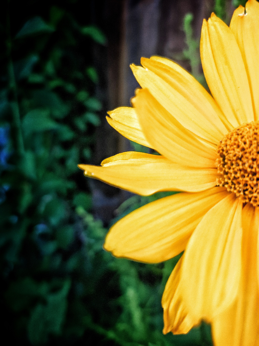 Для больших фоток подписывайся на тг канал: https://t.me/xydozniksnyla 