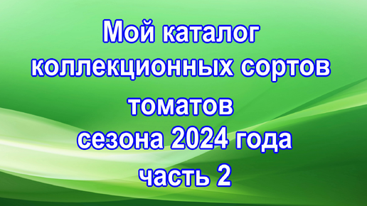 Мой каталог коллекционных сортов томатов сезона 2024 года часть 2