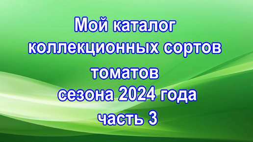 Мой каталог коллекционных сортов томатов сезона 2024 года часть 3