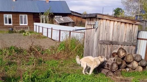 Итог сегодняшнего копа! И вообще сколько сейчас металла у меня!