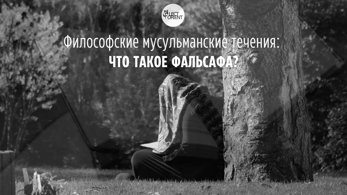 Фото взято в открытом фотостоке Canva