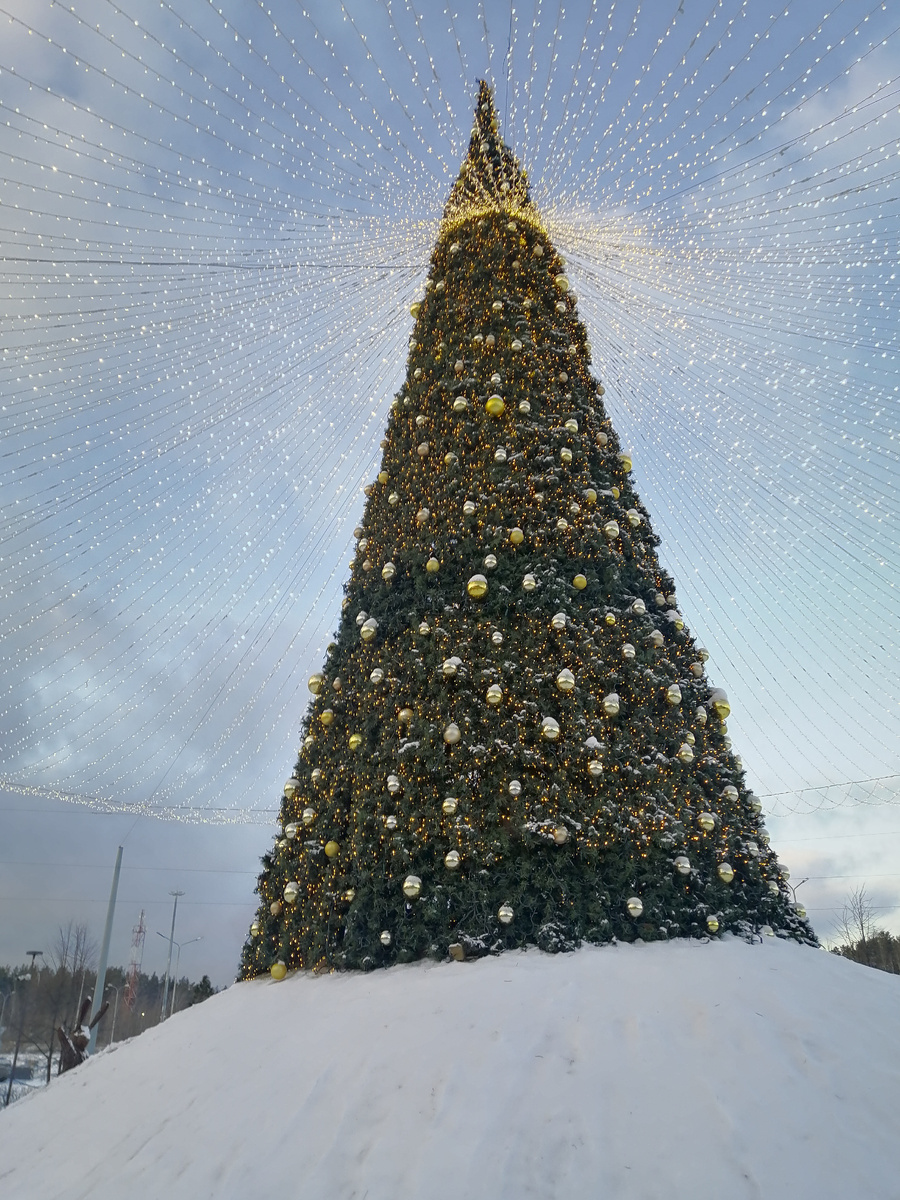 Личное фото. 