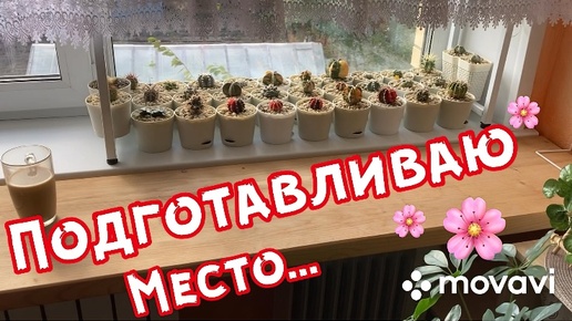 Подготавливаю место, Эхевериям…🌸