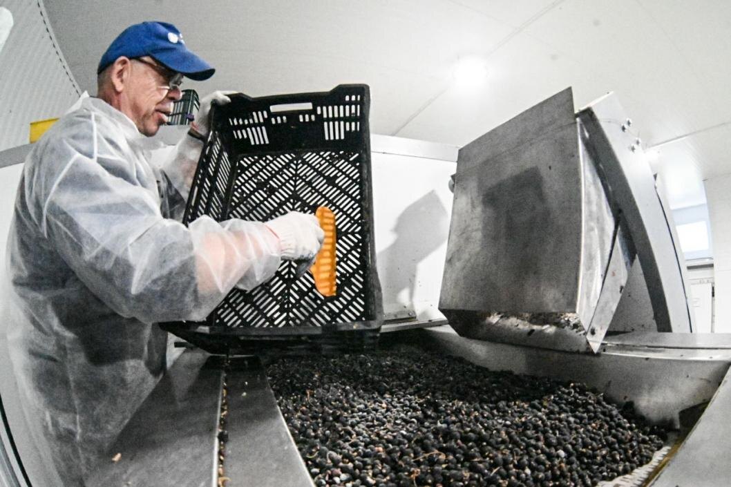 Фото: Сергей Елесин, ИА "Тюменская линия"