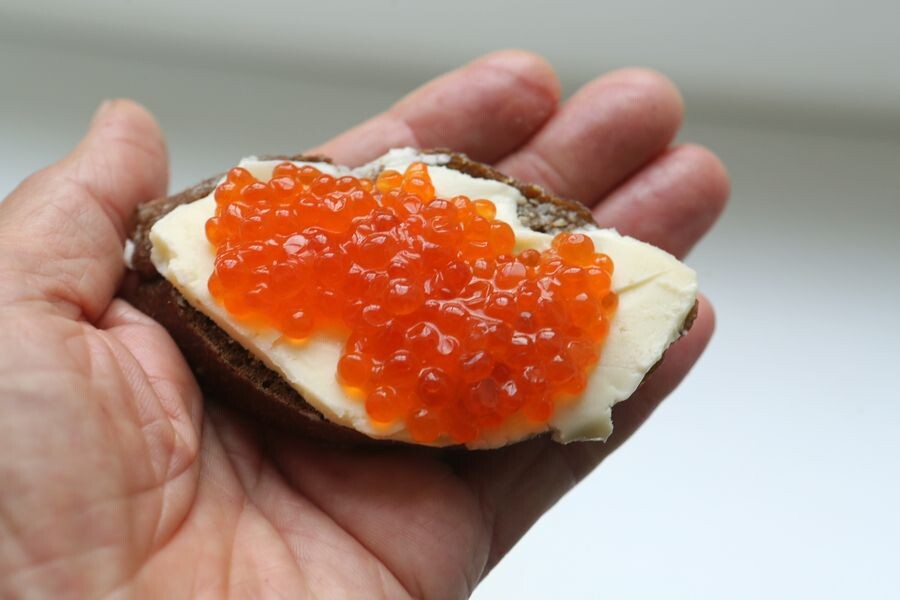     / Источник: © Николай Гынгазов/ТАСС