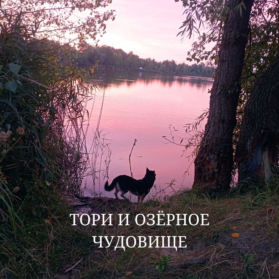 Фото: Тори и озерное чудовище, или история о том, как я чуть не лишилась собаки и рассудка; маленькая собака на берегу озера; кинолог, зоопсихолог Екатерина Кастрицкая