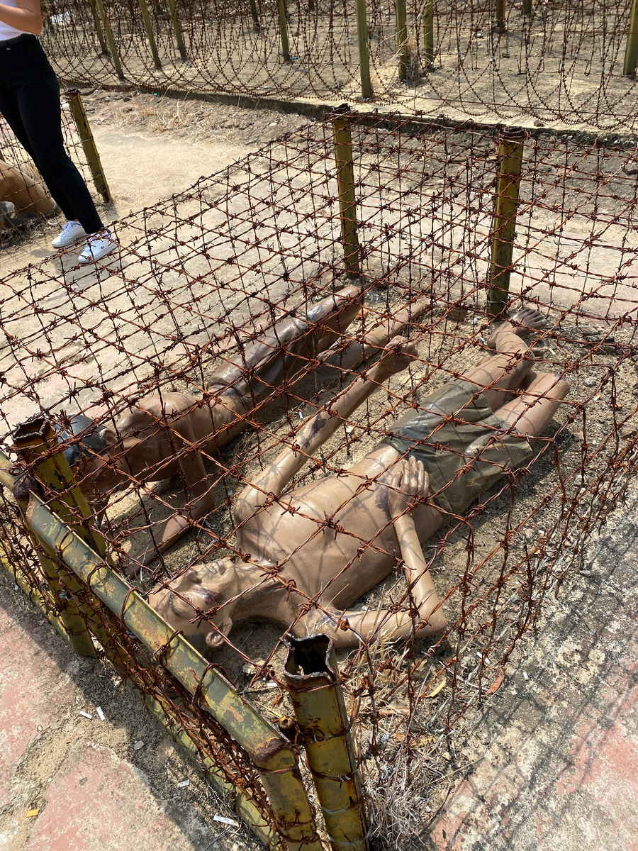 Тигриные клетки
