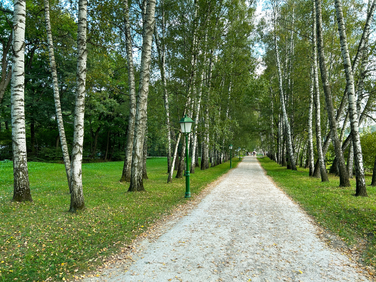 Прешпект, который ведет к флигелю Толстых