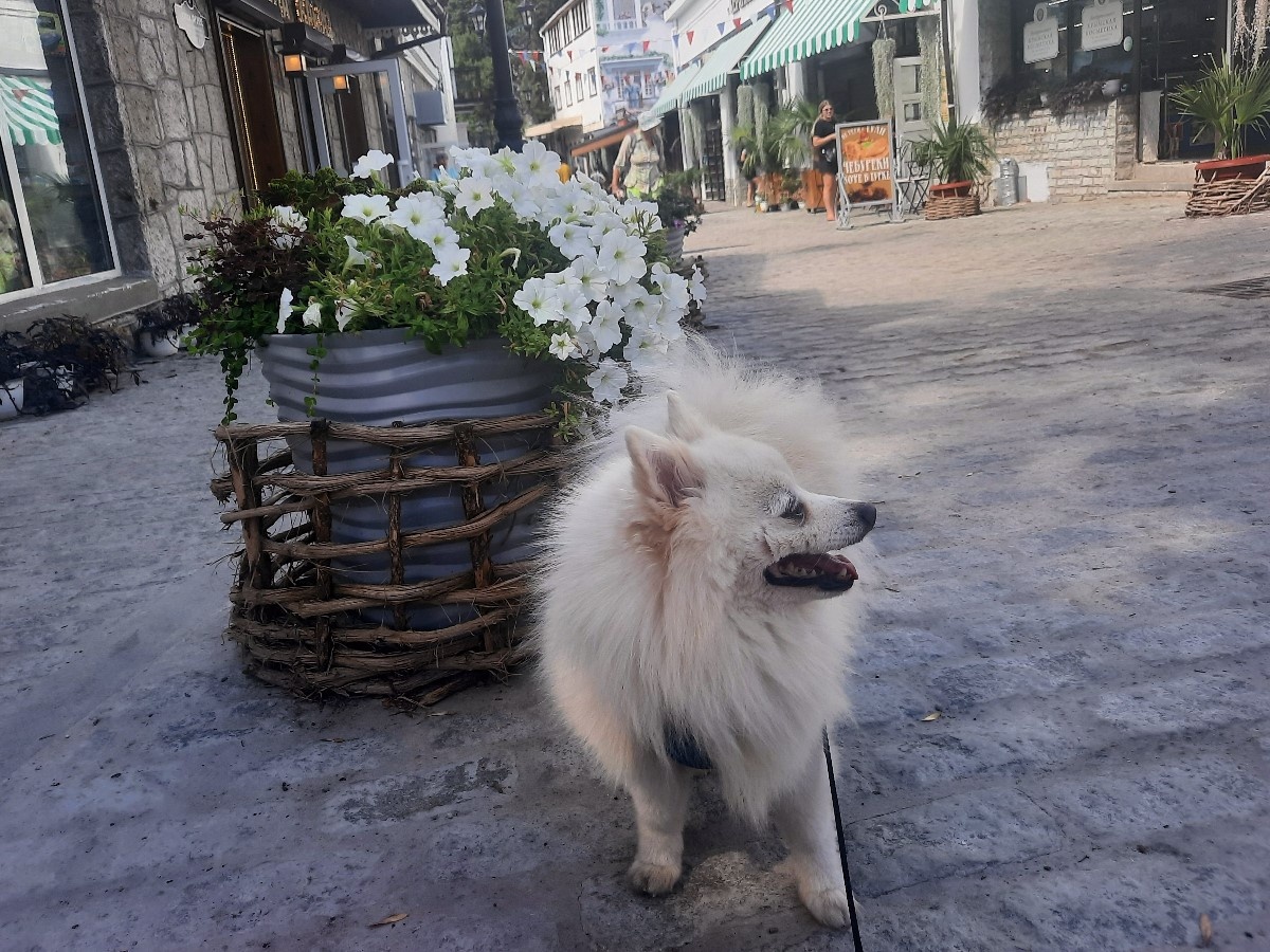 Прогулка по Старой Алупке