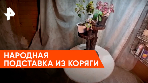 «Самая народная программа»: народная подставка из коряги