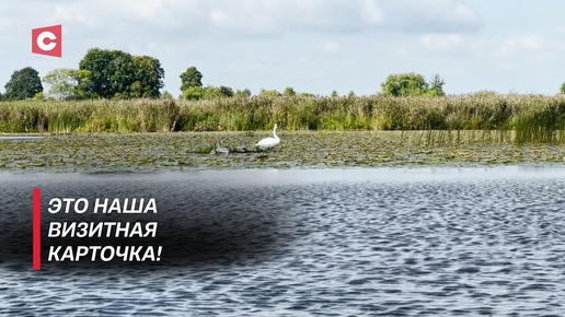 В Беларусь едут увидеть ЭТО! Какие туристические изюминки привлекают иностранцев?