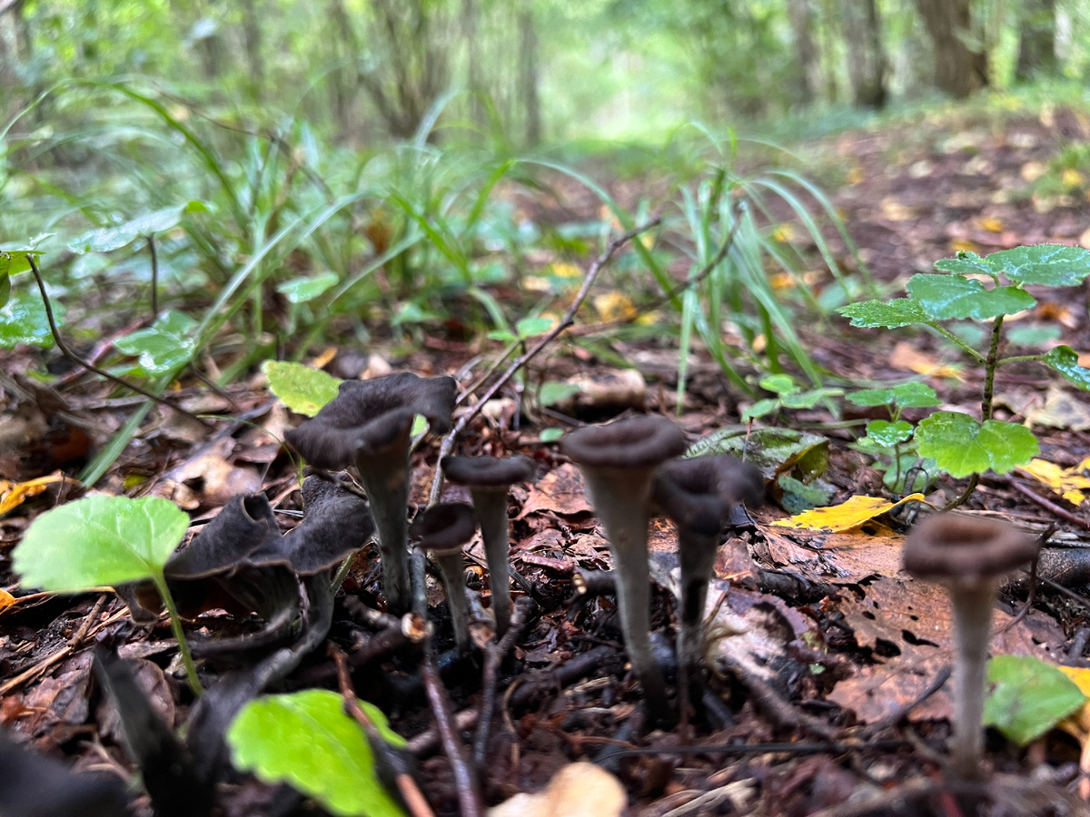 Фото автора. Сезон 2024, август