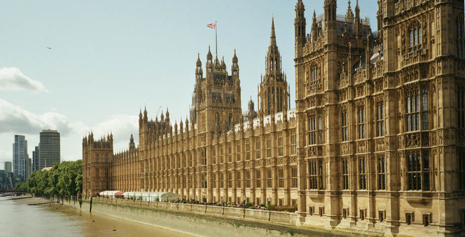 Фото: Rosemary Li/Unsplash