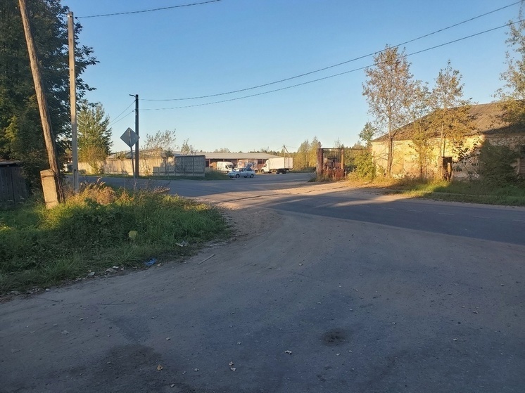     Фото: Михаил Кожеуров из группы "Нелидово News"/vk.com