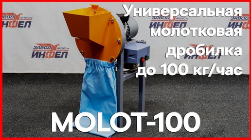 Дробилка молотковая универсальная Molot-100 производительностью до 100 кг в час