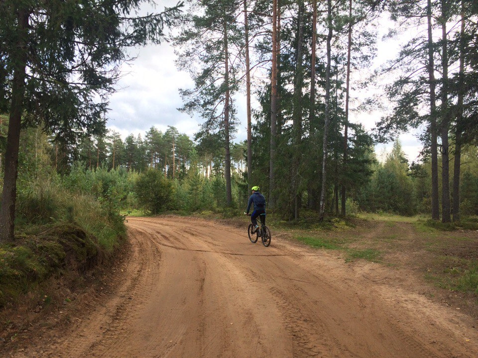 Красноборье