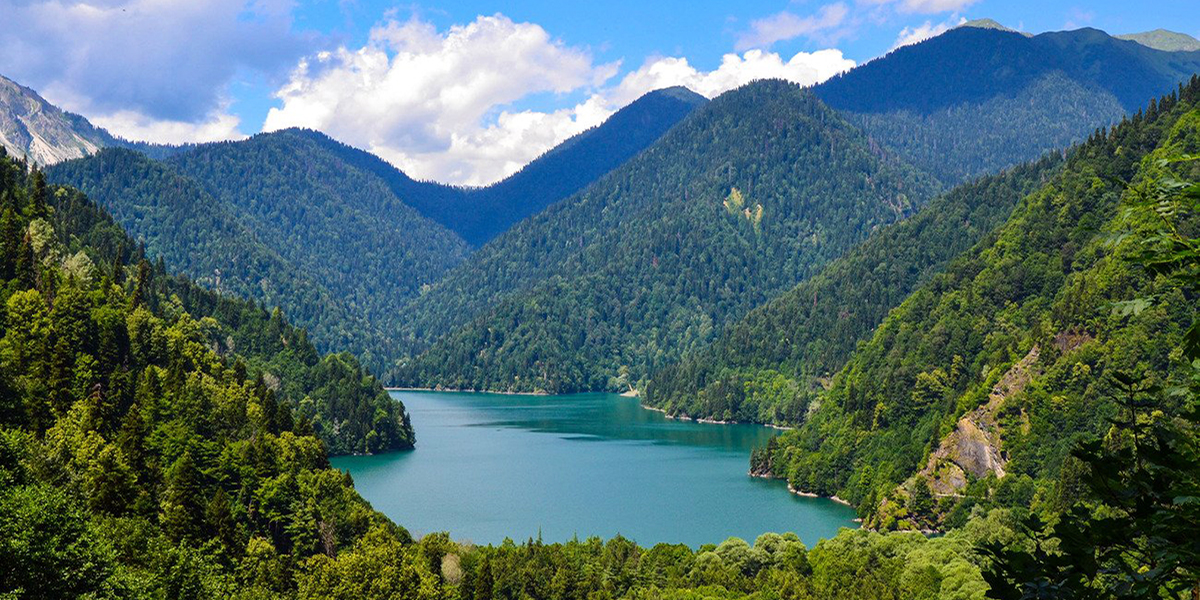 Фото с Яндекс.Картинки.